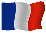 Les "Forces Spéciales" Françaises . 2897098384